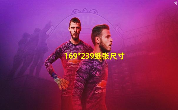 169*239纸张尺寸