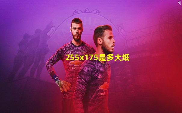 255x175是多大纸