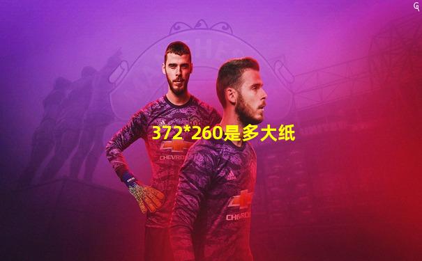 372*260是多大纸