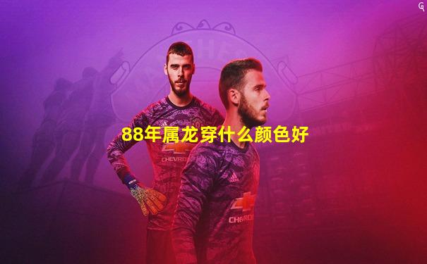 88年属龙穿什么颜色好