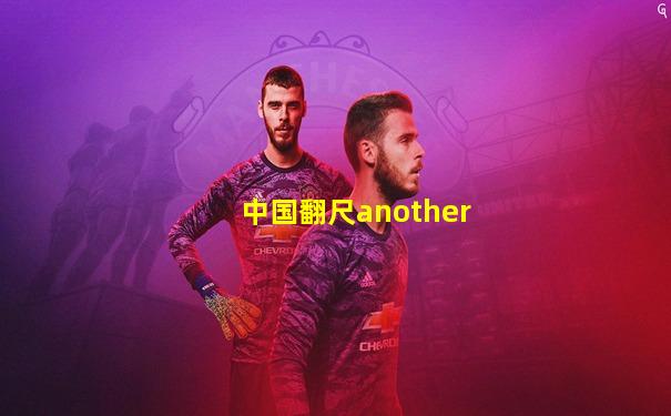 中国翻尺another