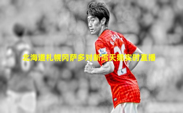 北海道札幌冈萨多对新泻天鹅实时直播