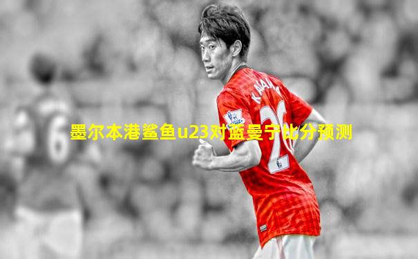 墨尔本港鲨鱼u23对蓝曼宁比分预测