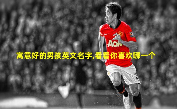 寓意好的男孩英文名字,看看你喜欢哪一个