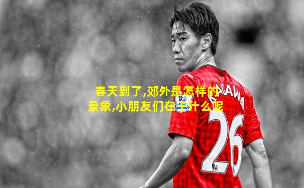 春天到了,郊外是怎样的景象,小朋友们在干什么呢