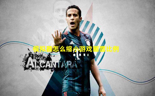 模拟器怎么缩小游戏画面比例
