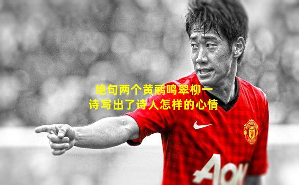 绝句两个黄鹂鸣翠柳一诗写出了诗人怎样的心情