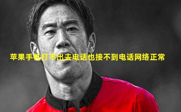 苹果手机打不出去电话也接不到电话网络正常