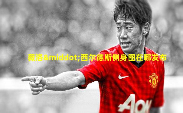 薇洛·西尔德斯侧身图在哪发布