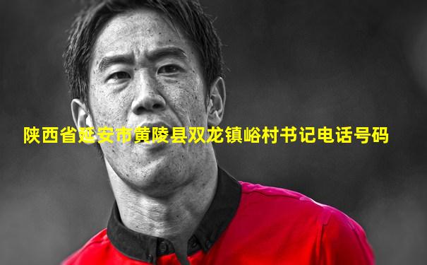 陕西省延安市黄陵县双龙镇峪村书记电话号码