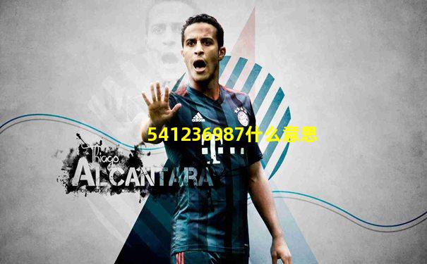541236987什么意思