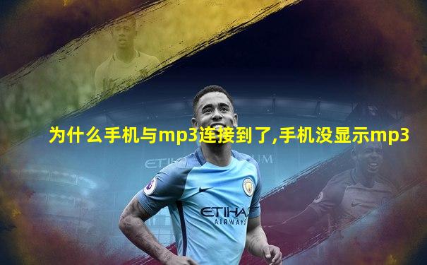 为什么手机与mp3连接到了,手机没显示mp3