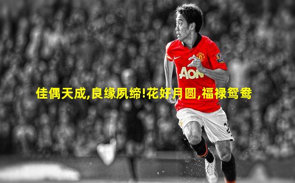 佳偶天成,良缘夙缔!花好月圆,福禄鸳鸯