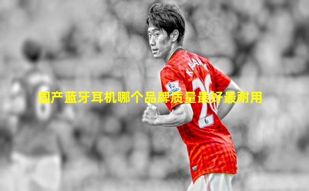 国产蓝牙耳机哪个品牌质量最好最耐用