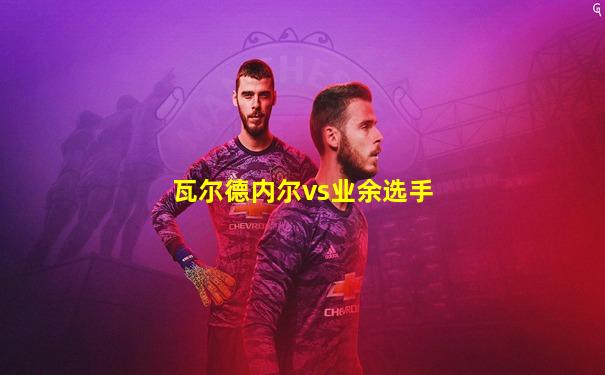 瓦尔德内尔vs业余选手